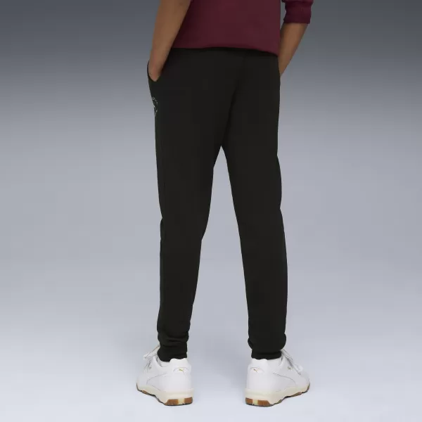  Sledovacie smerovače PUMA CLASS SWEATPANTS TR B 68885301 PUMA BLACK 