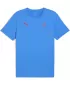 Tričko PUMA NEYMAR JR PLAYMAKER TEE 66032110 PUMA TÍM ROYAL/PUMA RED