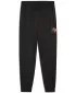 Sledovacie smerovače PUMA ACTIVE SPORTS GRAPHIC POLY PANTS B 52769301 PUMA BLACK
