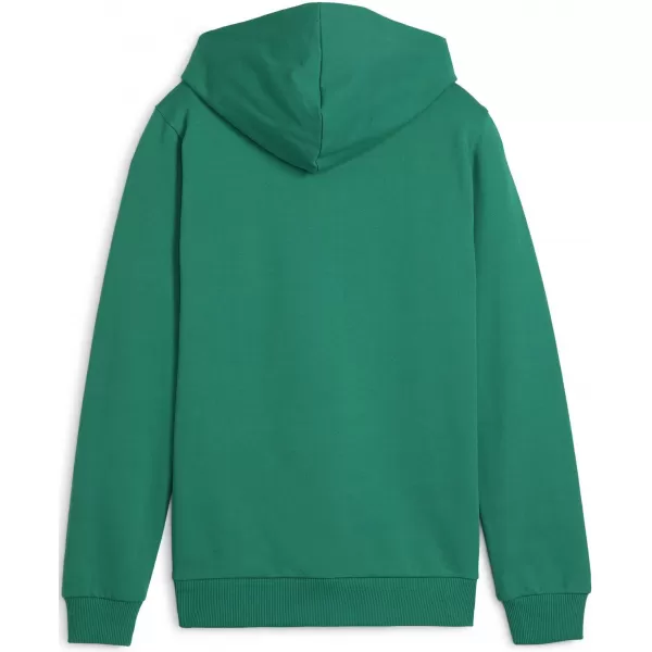  Mikina PUMA TEAMGOAL CASUALS HOODY JR 658619_05 SPORT GREEN/ ŠPORTOVÁ ZELENÁ/BIELA 