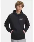 Pánska mikina UNDER ARMOUR UA RIVAL FLEECE HBR LOGO HD 6003955-001 ČIERNA