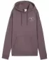 Dámska mikina PUMA CLASS RELAXED HOODIE 68813288 HROZIENKA