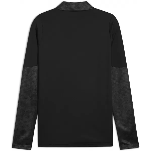  Pánska mikina PUMA TEAMCUP TRAINING 1/4 ZIP TOP 659164_03 PUMA BLACK/PUMA SILVER 
