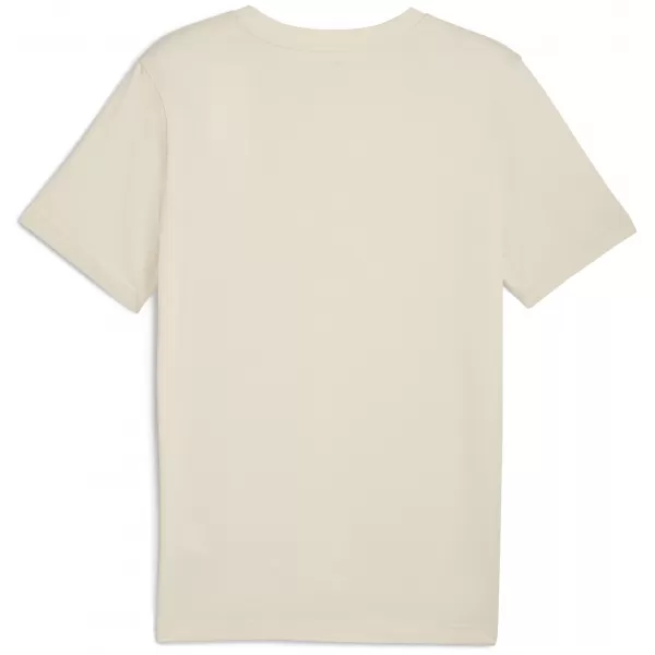  Tričko PUMA GRAPHIC VARSITY TEE 68803587 VYSOKOHORSKÝ SNEH 