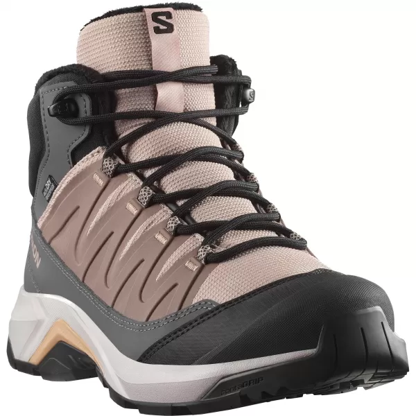  Dámske topánky SALOMON X-ADVENTURE COLDRUSH WATERPROOF W ETHEREA/ŽELEZNÁ/MAHAGÓNOVÁ RUŽA 