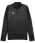 Pánska mikina PUMA TEAMCUP TRAINING 1/4 ZIP TOP 659164_03 PUMA BLACK/PUMA SILVER