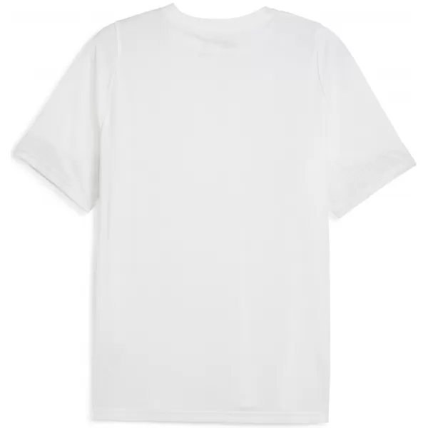  Mužský dres PUMA TEAMCUP TRAINING JERSEY 659167_04 PUMA WHITE/PUMA SILVER 