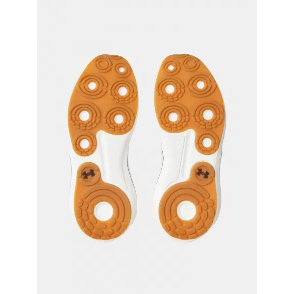  Pánske topánky UNDER ARMOUR UA PHANTOM 4 3027593-289 HNEDÁ 