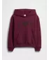 Detská mikina GAP LOGO HOODIE PULLOVER 839160-00 BURGUNDY LUREX