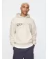 Pánska mikina GAP LOGO HOODIE PULLOVER 646080-01 CARLS STONE