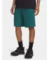 Pánske kraťasy UNDER ARMOUR UA RIVAL LW SHORTS 6009345-338 ZELENÁ