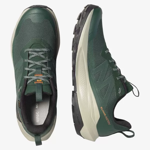  Pánske topánky SALOMON ELIXIR ACTIV GTX L49229800 SCARAB/GREEN GABLES/CHILI 