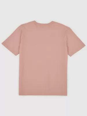 Pánske tričko GAP ARCHIVE LOGO TEE 797924-10 SOFT PINK
