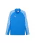 Pánska mikina PUMA TEAMLIGA26 TRG 1/4 ZIP TOP 659724_02 ELECTRO ROYAL/ ELECTRO ROYAL/PUMA WHITE