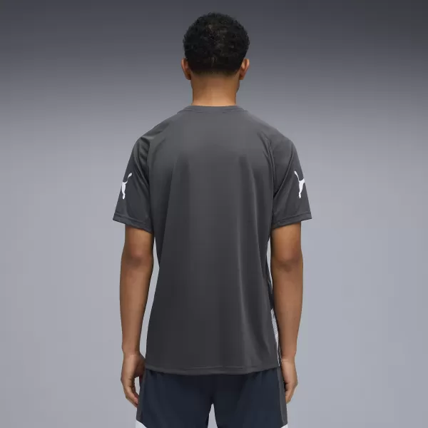  Pánske funkčné tričko PUMA INDIVIDUALLIGA GRAPH JERSEY 660578_02 MINERÁL KOBALT/PAROŠEDÝ 