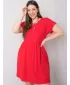Dámske šaty BASIC FEEL GOOD RV-SK-6292.09P RED