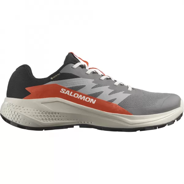  Pánske topánky SALOMON ALPHAGLIDE GTX L47975300 CASTLEROCK/LUNAR ROCK/CHERRY PARADAJKA 