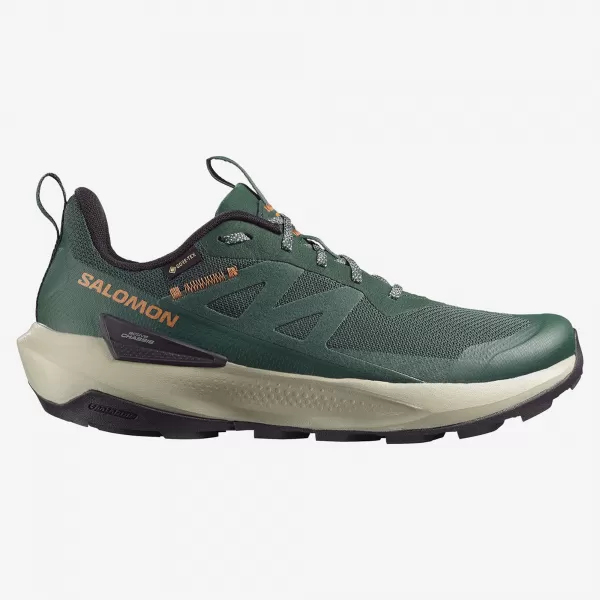  Pánske topánky SALOMON ELIXIR ACTIV GTX L49229800 SCARAB/GREEN GABLES/CHILI 