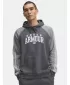 Pánska mikina UNDER ARMOUR UA RIVAL FLC CB HOOD 6003958-025 SIVÁ