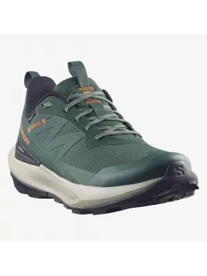 Pánske topánky SALOMON ELIXIR ACTIV GTX L49229800 SCARAB/GREEN GABLES/CHILI