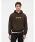 Pánska mikina GAP LOGO PULLOVER HOODIE 821291-01 GROUND