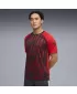 Pánske funkčné tričko PUMA INDIVIDUALLIGA GRAPH JERSEY 660578_01 PUMA RED/PUMA WHITE