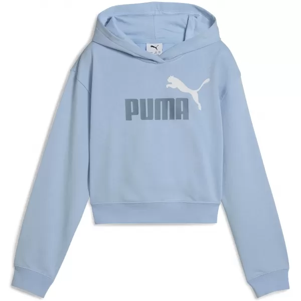  Detská mikina PUMA ESS 2 COLOR LOGO HOODIE 686072-48 HAUTE TROPIC 