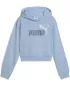 Detská mikina PUMA ESS 2 COLOR LOGO HOODIE 686072-48 HAUTE TROPIC