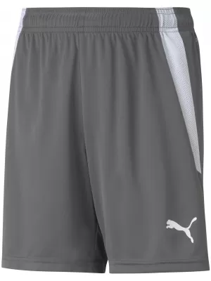 Detské šortky PUMA TEAMLIGA SHORTS JR 704931-13 SMOKED PEARL/ ÚDENÁ PERLA/PUMA BIELA
