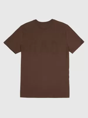 Pánske tričko GAP LOGO TEE 856659-39 DARK BROWN