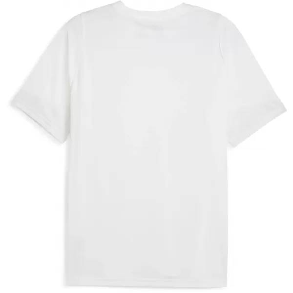  Pánske funkčné tričko PUMA TEAMCUP TRAINING JERSEY 659167-04 PUMA BIELA/PUMA STRIEBORNÁ 