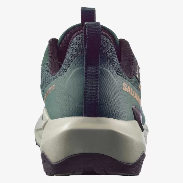  Pánske topánky SALOMON ELIXIR ACTIV GTX L49229800 SCARAB/GREEN GABLES/CHILI 