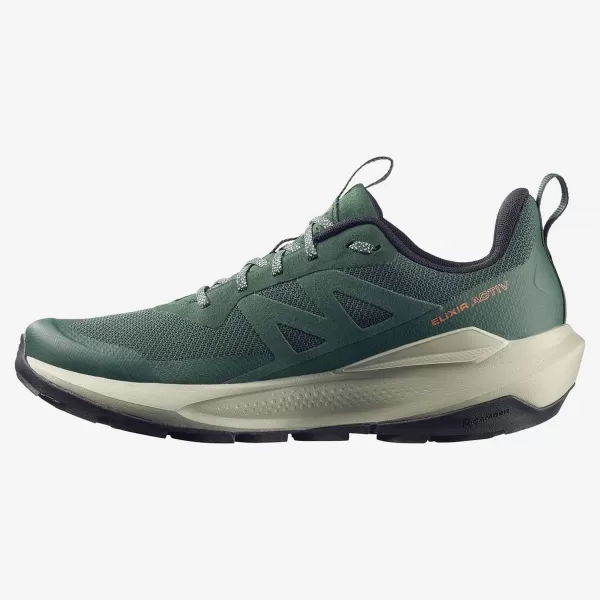  Pánske topánky SALOMON ELIXIR ACTIV GTX L49229800 SCARAB/GREEN GABLES/CHILI 