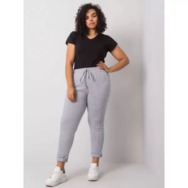  Dámske tepláky BASIC FEEL GOOD RV-DR-6300.19 GRAY 