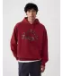 Pánska mikina GAP ATHLETIC ARCH PULLOVER HOODIE 534173-00 JAPONSKÁ MAPLE