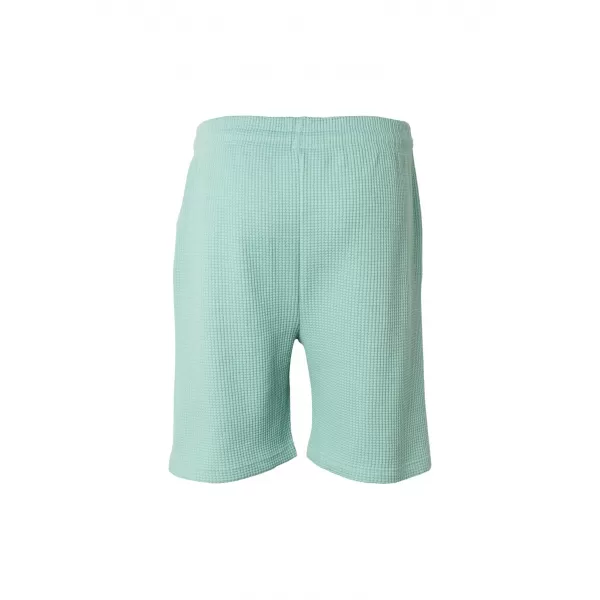  Pánske kraťasy URBAN CLASSICS TB8206 FROST MINT 
