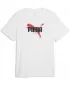Pánske tričko PUMA GRAPHICS TEE 69435502 PUMA WHITE