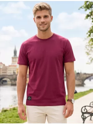 Pánske tričko ALTISPORT NP/ALMST20001 BORDEAUX