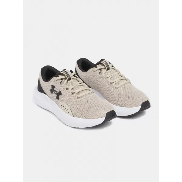  Pánske topánky UNDER ARMOUR CHARGED SURGE 4 3027000-289 HNEDÁ 