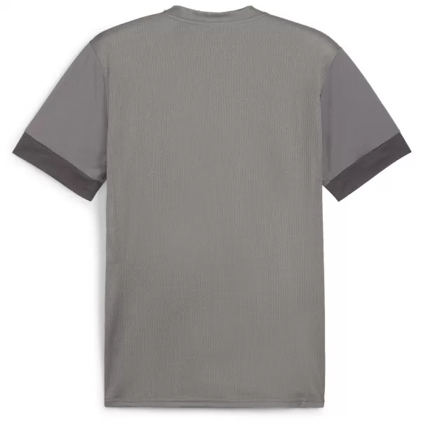  Pánsky dres PUMA TEAMGOAL MATCHDAY JERSEY 705747-13 CAST IRON/WHITE/SHADOW GRAY 