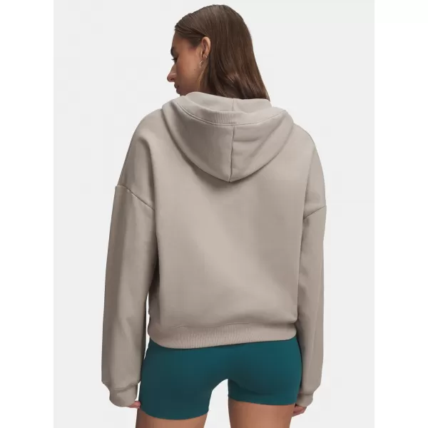  Dámska mikina UNDER ARMOUR ICON FLEECE HZ HOODIE 6012843-203 HNEDÁ 