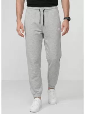 Pánske nohavice 4F WMM00TTROM1673 COLD LIGHT GREY MELANGE