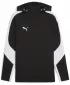 Pánska mikina PUMA TEAMEVOSTRIPE HOODY 659954-03 PUMA BLACK/PUMA SILVER