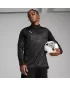 Pánske funkčné tričko PUMA TEAMCUP TRAINING 1/4 ZIP TOP 659164-03 PUMA BLACK/PUMA SILVER