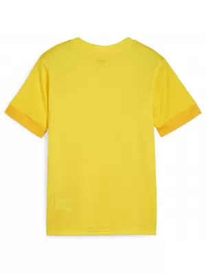 Detský dres PUMA TEAMGOAL MATCHDAY JERSEY JR 705748-07 FASTER YELLOW/BLACK/YELLOW