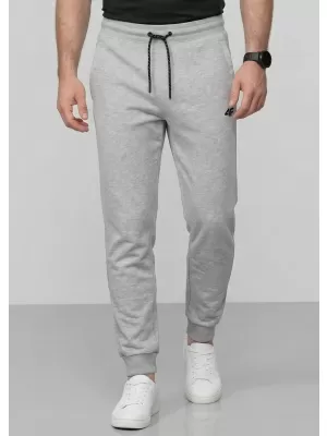 Pánske nohavice 4F WMM00TTROM1674 COLD LIGHT GREY MELANGE