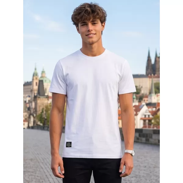  Pánske tričko ALTISPORT NP/ALMST20001 WHITE 