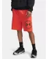 Pánske kraťasy UNDER ARMOUR RIVAL LW GRAPHIC SHORTS 6014689-690 ČERVENÁ