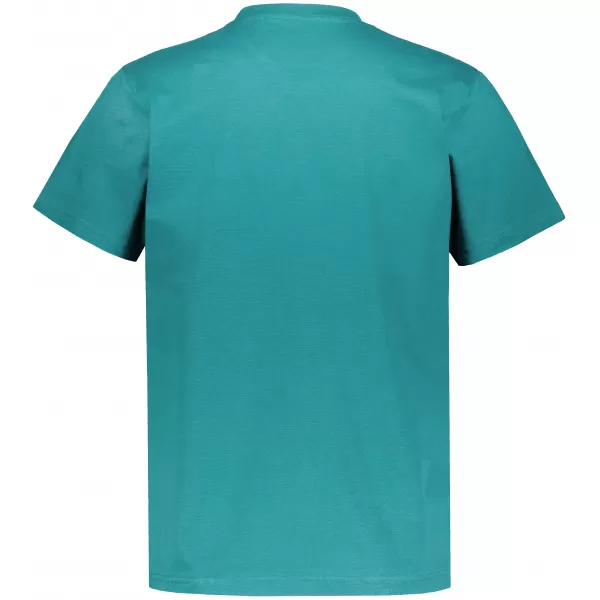  Pánske tričko ALTISPORT NP/ALMST20001 TEAL 