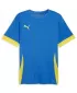 Pánsky dres PUMA TEAMGOAL MATCHDAY JERSEY 705747-16 E.BLU.LEMONADE/FASTER YELLOW